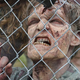 Illustration for article titled Fox News says The Walking Dead is brainwashing Americans, without irony